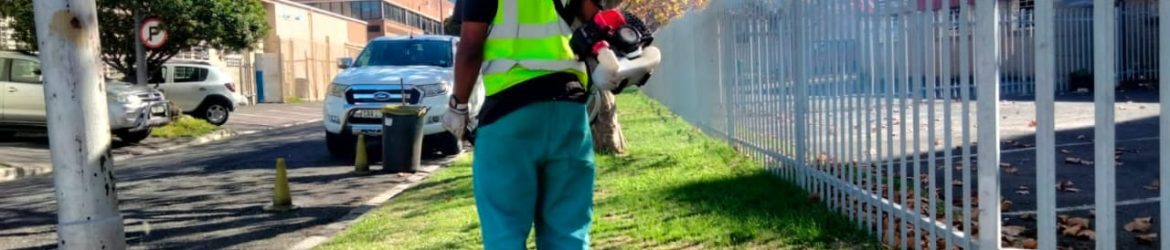 1_GCID maintaining grass