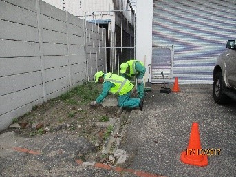 de-weeding 1
