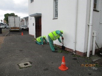 de-weeding 2