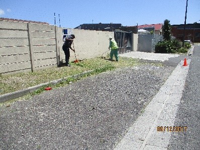 grass-cutting
